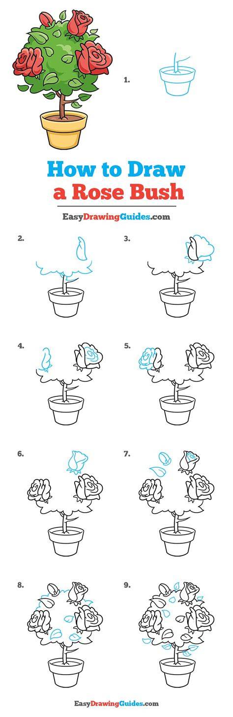 How to Draw a Rose Bush - Easy Drawing Tutorial For … - raincitystudios.com
