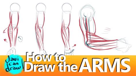 HOW TO DRAW FOREARMS YouTube