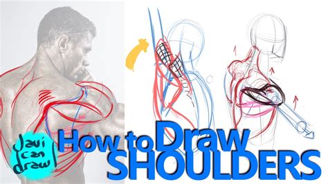 HOW TO DRAW SHOULDERS A Process Tutorial. YouTube
