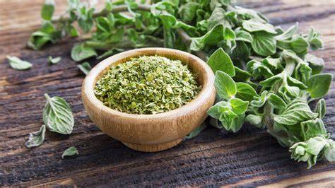 How to Dry Fresh Oregano: 7 Methods to Try - Epic … - raincitystudios.com