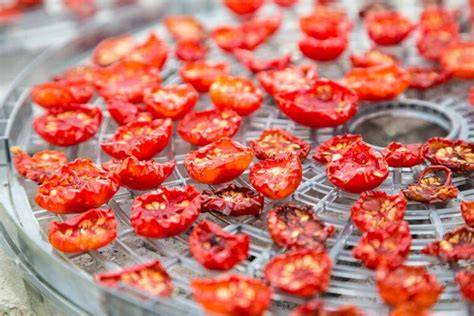 How to Dry Homegrown Tomatoes - Gardener’s Path - raincitystudios.com