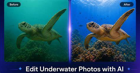 How to Edit Underwater Photos for Color and … - raincitystudios.com