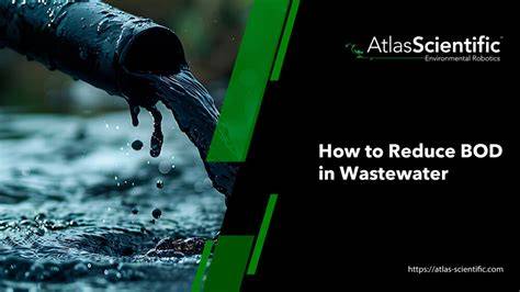 How to Effectively Reduce BOD in Wastewater - raincitystudios.com