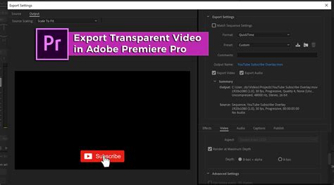 How to Export Transparent Video | After Effects - muktibox.com