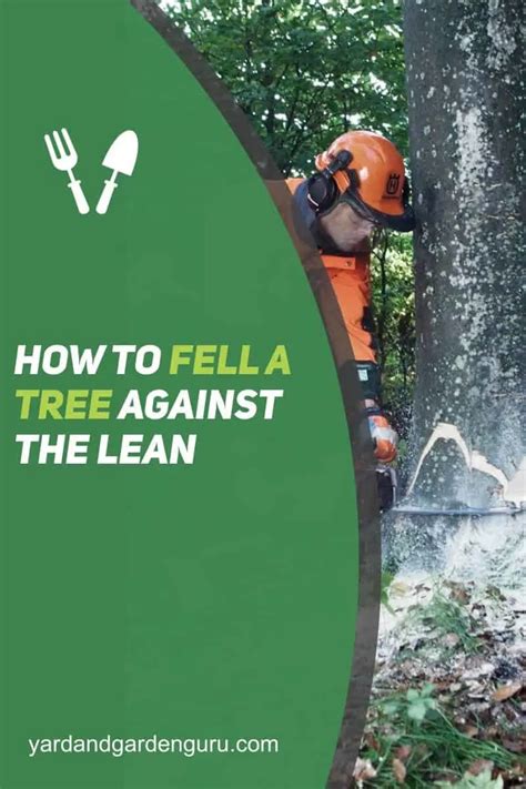 How to Fell a Tree Against the Lean - The Timberland … - raincitystudios.com