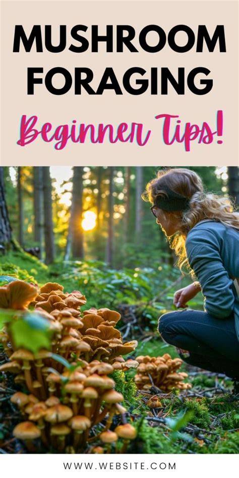 How to Forage Mushrooms for beginners - Etsy - raincitystudios.com