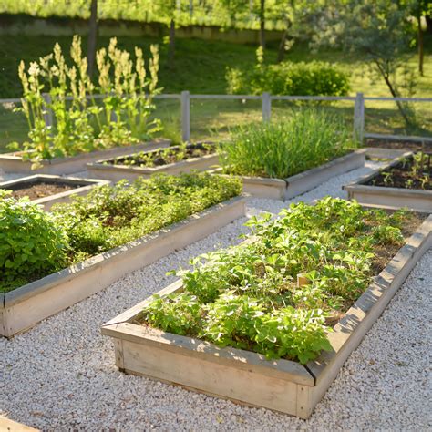 How to Garden - Gardening Basics for Beginners - Garden Design - raincitystudios.com