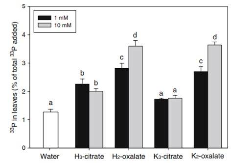 How to get more phosphorus in organic hydroponics - raincitystudios.com