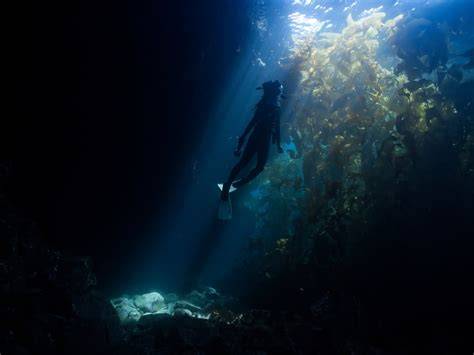 How to Get Started in Underwater Photography Without Wasting Money - raincitystudios.com