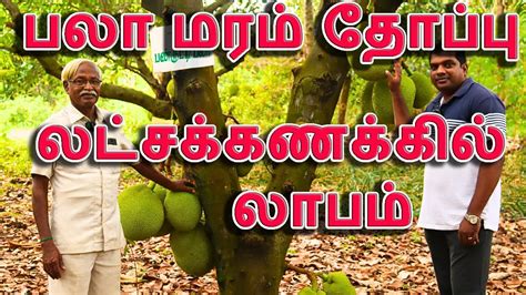 How to Grow a Profitable Jackfruit Business Tips for Success - raincitystudios.com