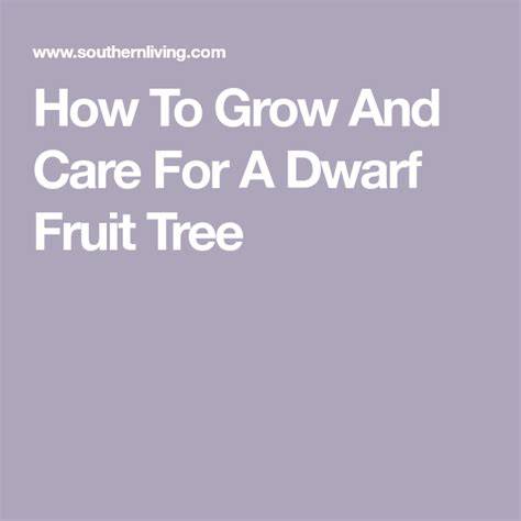 How To Grow And Care For A Dwarf Fruit Tree - raincitystudios.com