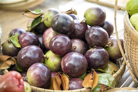 How to Grow and Care Star apple in Garden, Pot & outdoors from Seed - raincitystudios.com