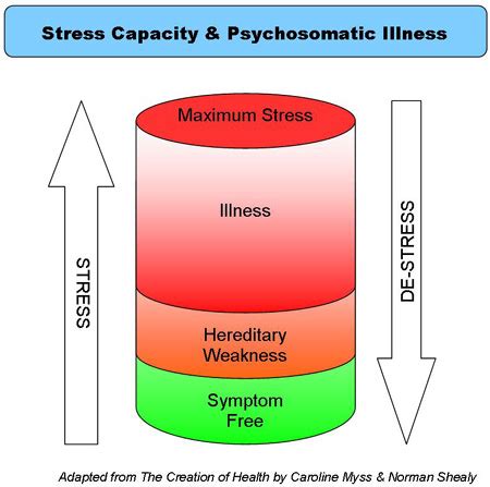 How to Handle a Stress-Related Psychosomatic Illness - wintechmobiles.com