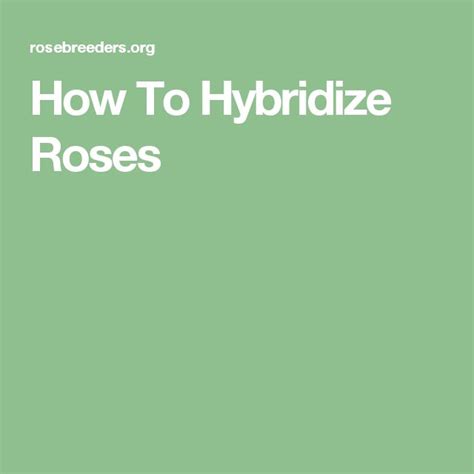 How To Hybridize Roses - muktibox.com