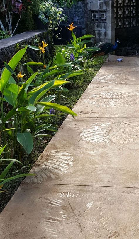 How to Imprint Concrete with Leaves and Flowers - muktibox.com