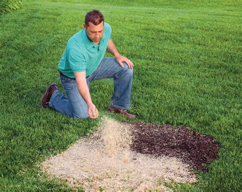 How To Lay Mulch Over Grass {Step-by-Step Guide} - raincitystudios.com
