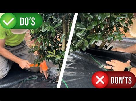 How To Lay Weed Barrier Around Shrubs For Mulching - raincitystudios.com