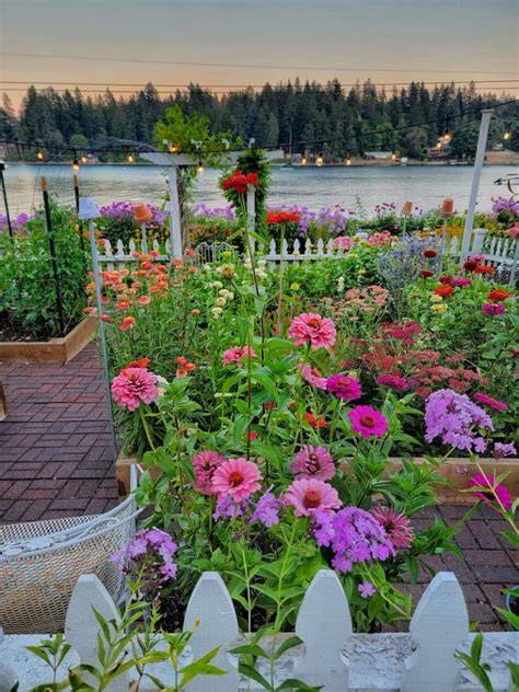 How to make a business out of a cut flower garden - Country Living - raincitystudios.com