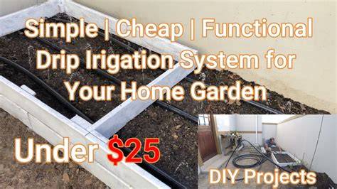 How to Make a Cheap Drip Irrigation System (Under - raincitystudios.com