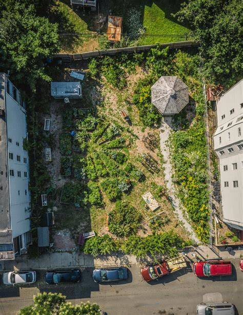 How to Make a Food Forest, According to Experts - Martha Stewart - raincitystudios.com
