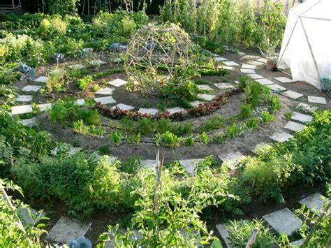 How To Make A Mandala Kitchen Garden For More Food - raincitystudios.com