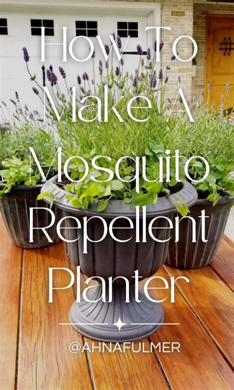 How To Make A Mosquito Repellent Patio Planter - Your Cool Home - raincitystudios.com