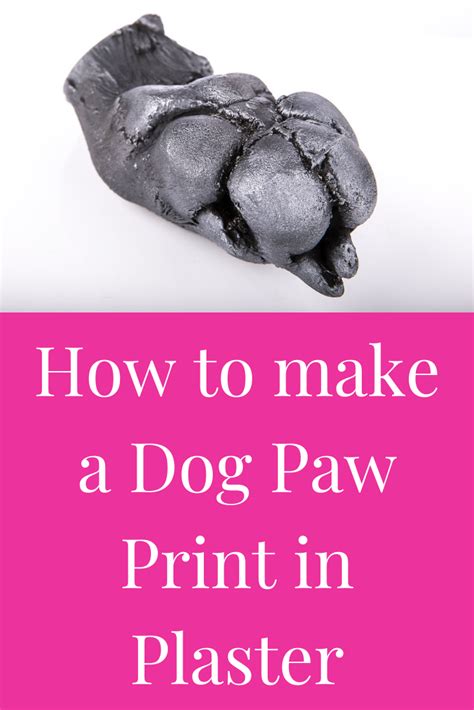 How To Make A Plaster Of Paris Paw Print - Cuteness - muktibox.com