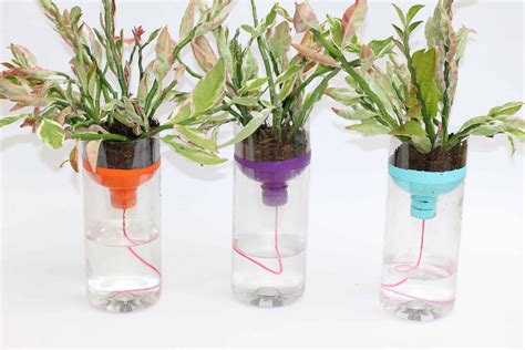 How to make a Self Watering Planter - raincitystudios.com