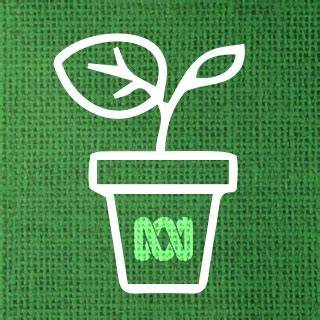 How to make a wicking pot so your plants self-water | DIY Garden ... - raincitystudios.com