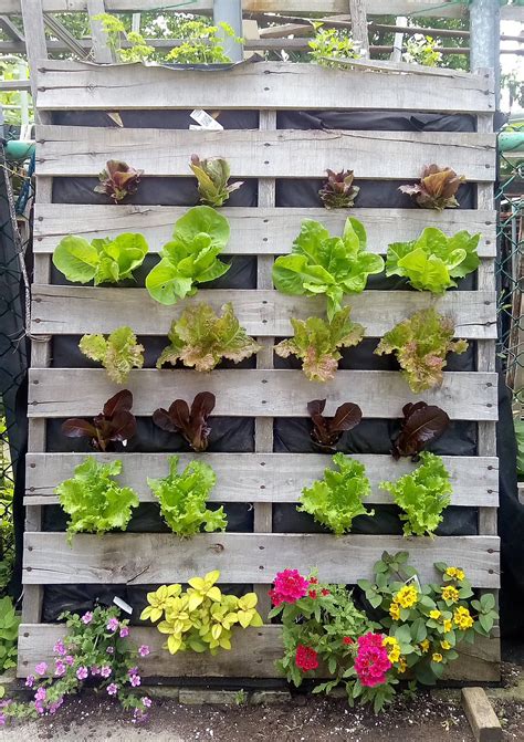 How To Make A Wooden Pallet Vertical Garden - Rural … - raincitystudios.com