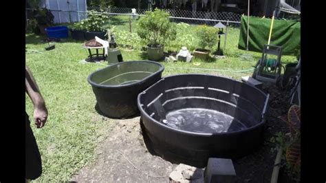 How to Make an Above Ground Pond: Easy DIY Guide - raincitystudios.com
