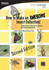 How to Make an Awesome Insect Collection | Purdue - muktibox.com