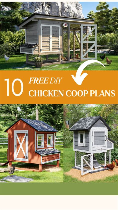 How to make an effective, simple, low-cost free-range chicken coop - raincitystudios.com