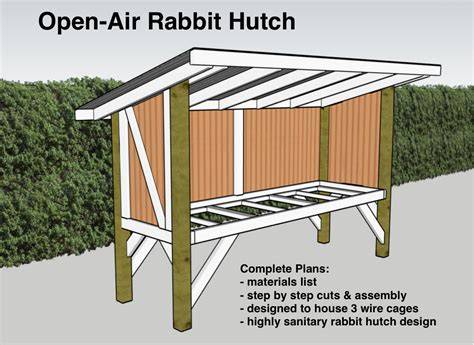 How to Make an Outdoor Rabbit Hutch - Bunny Insight - raincitystudios.com