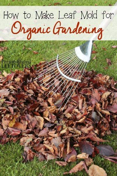 How to Make and Use a Leaf Mold for Organic Gardening - raincitystudios.com