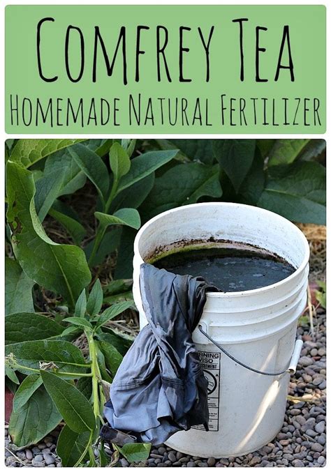 How to Make and Use Compost Tea Fertilizer - raincitystudios.com