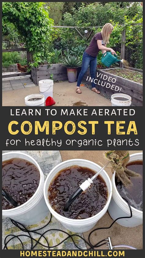 How to Make and Use Compost Tea - raincitystudios.com