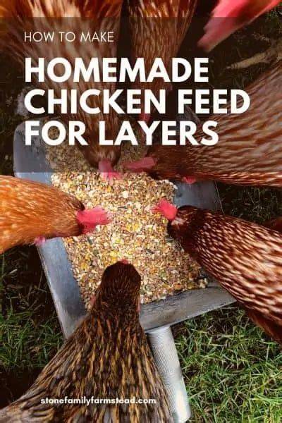 How to Make Chicken Feed for Layers {17.5%} - raincitystudios.com