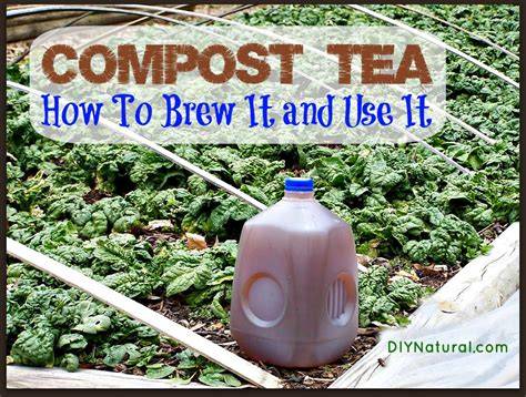 How to Make Compost Tea with Worm Castings - raincitystudios.com