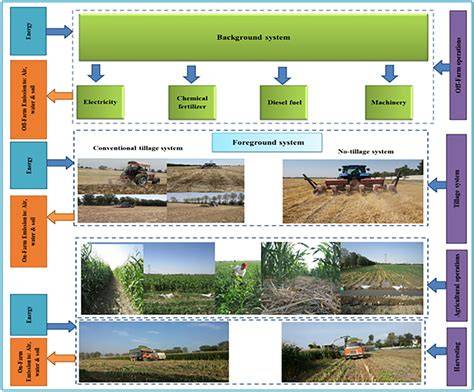 How to Make Corn Silage: Production and Management Steps for Goats ... - raincitystudios.com