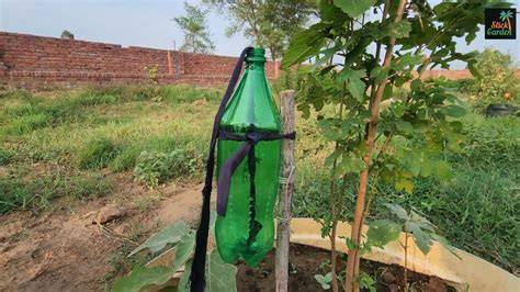 How to Make DIY Self-Watering Planters | ehow - raincitystudios.com