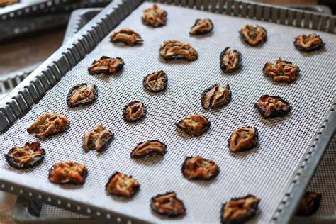 How To Make Dried Plums | An Oregon Cottage - raincitystudios.com
