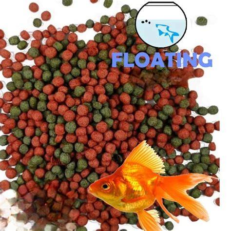 How to Make Fish Food Pellets at Home - raincitystudios.com