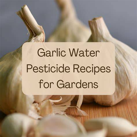 How to Make Garlic Water Pesticide for Plants - raincitystudios.com