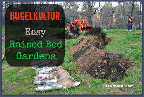 How to Make Hugelkultur Beds for Growing Vegetables - raincitystudios.com