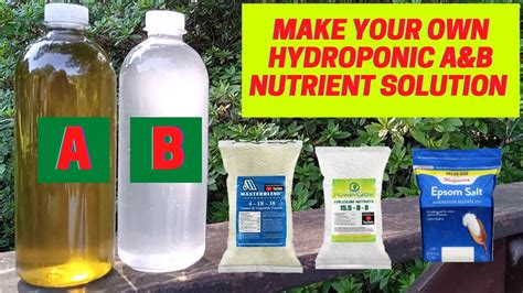 How to make hydroponic nutrient solution at home (detailed - wintechmobiles.com