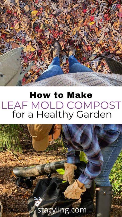 How to Make Leaf Mold: The Gardener's Guide to Turning Fall Leaves Into ... - raincitystudios.com