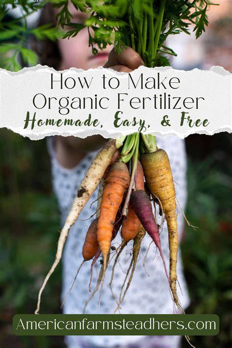 How to Make Organic Fertilizer (FOR FREE) - raincitystudios.com