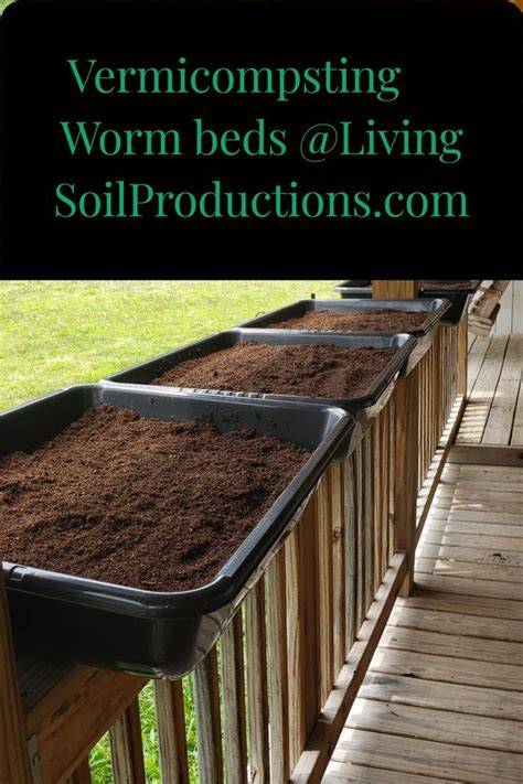 How to Make Perfect Worm Bedding for Thriving Worms - raincitystudios.com