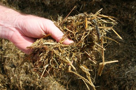 How to Make Silage: 12 Steps (with Pictures) - wikiHow - raincitystudios.com